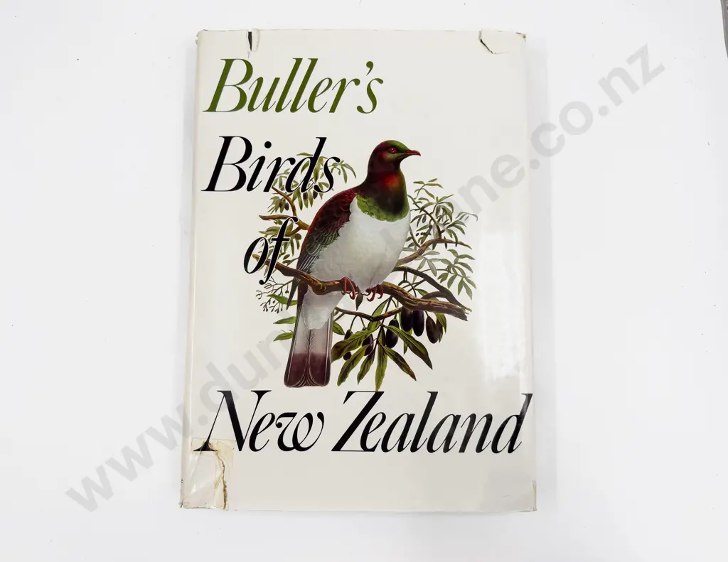 Buller's Bird of New Zealand - Boxed Edition - A/F Damage to Box Image 1++