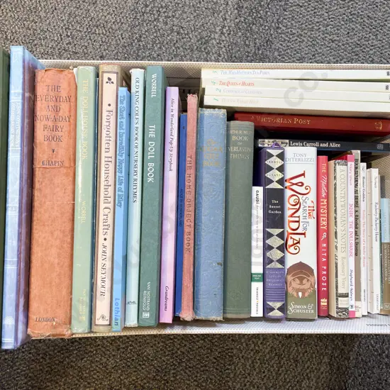 Box of Assorted Children's & Toy Related Books