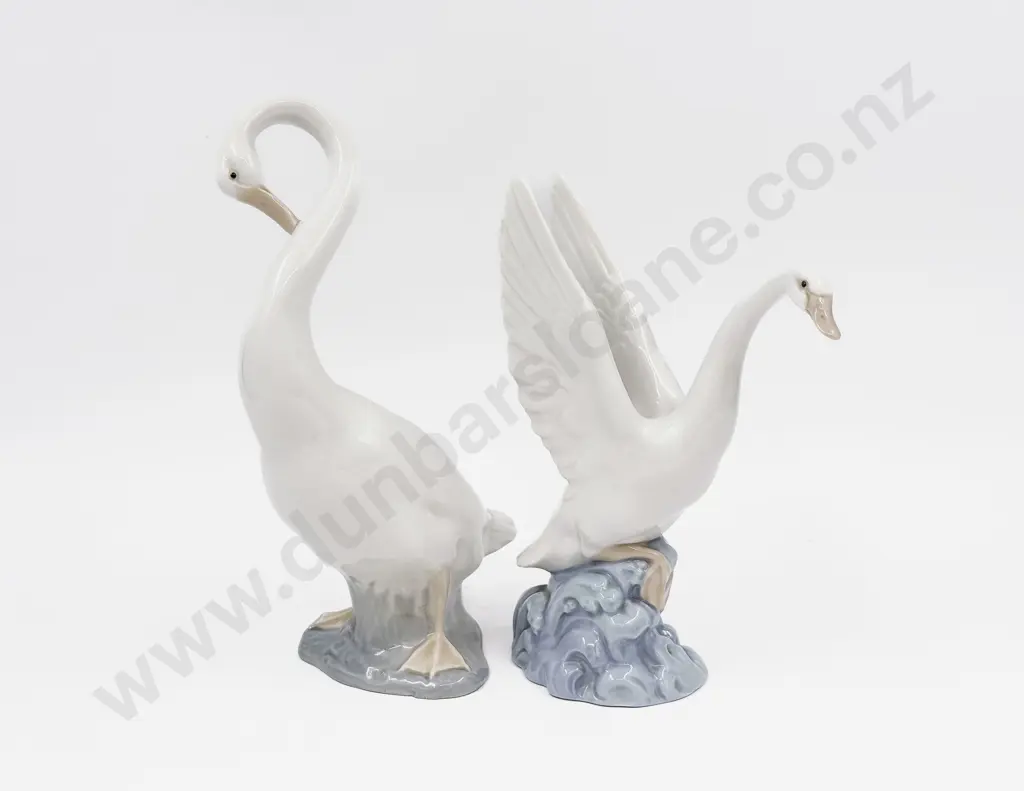 Two Nao Swans Image 1++