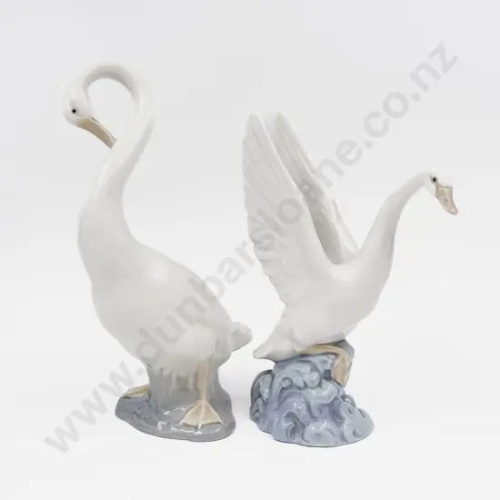 Two Nao Swans