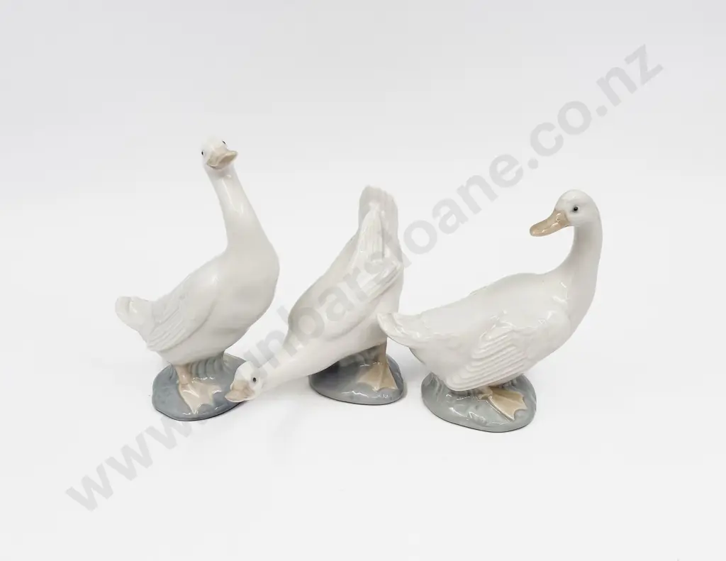 Three Nao Geese Image 1++
