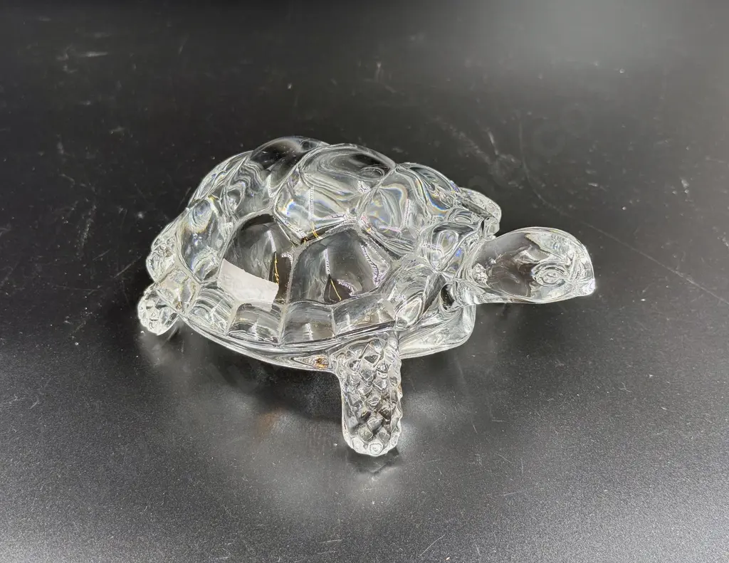 Glass Turtle Image 1++