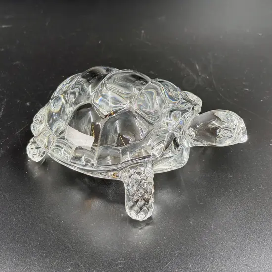 Glass Turtle