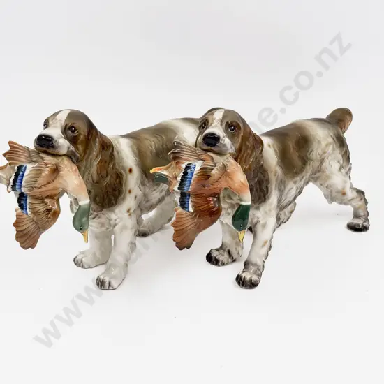 Two PSJ Hunting Dogs