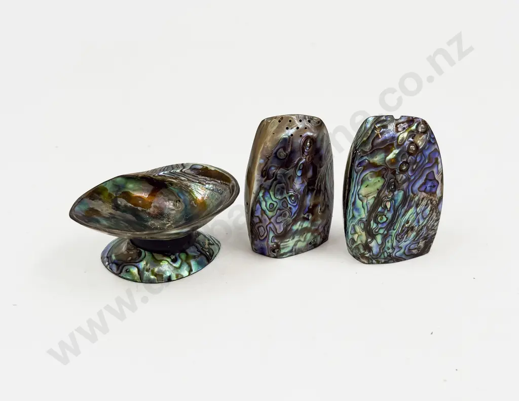 Three Novelty Paua Shell Condiments Image 1++