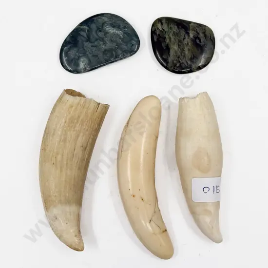 Two Small Pieces of Greenstone together with Three Animal Teeth