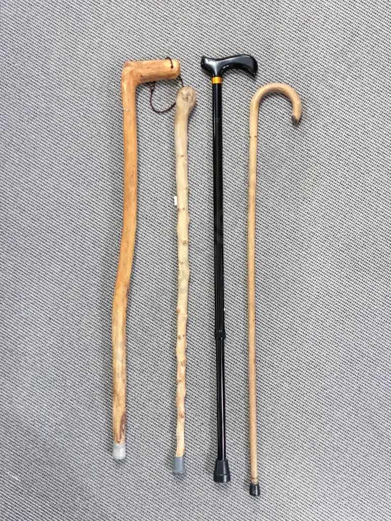 Four Assorted Walking Sticks Image 1++
