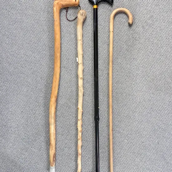 Four Assorted Walking Sticks