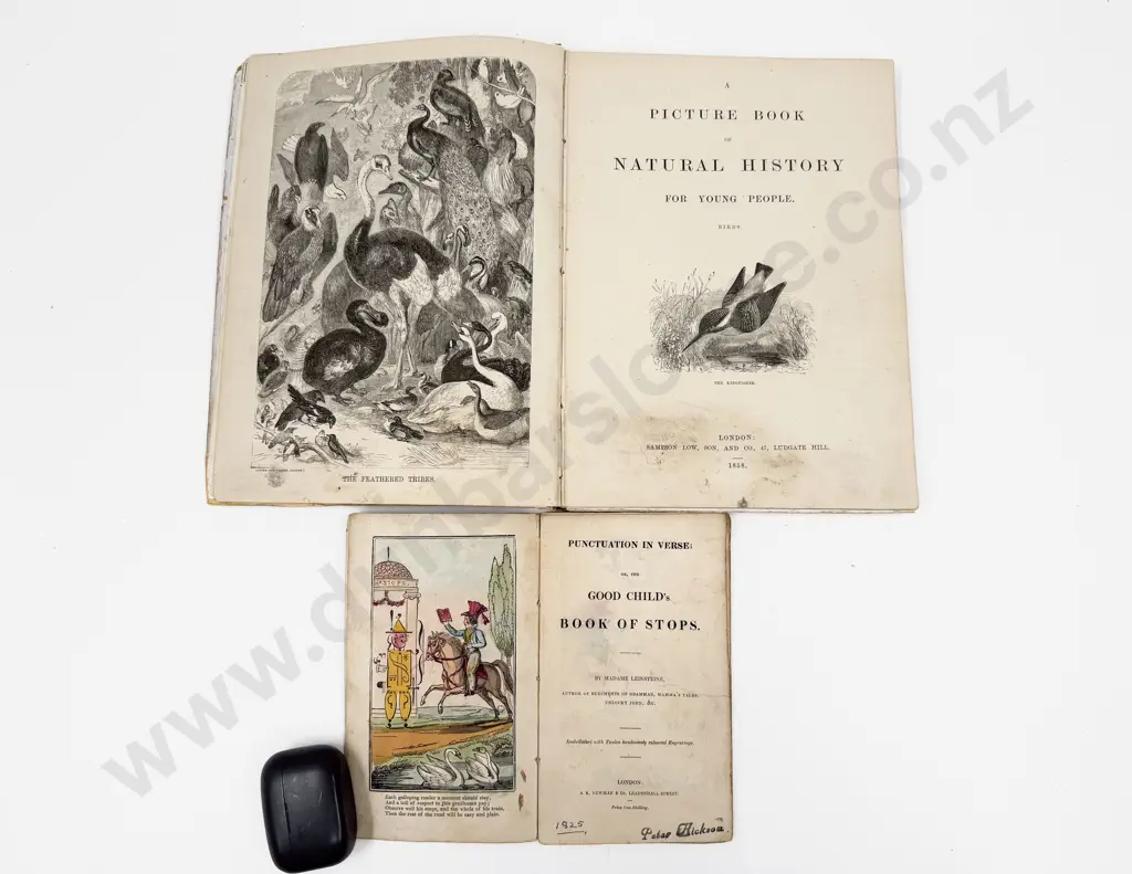 Two Victorian Volumes for Children Image 1++