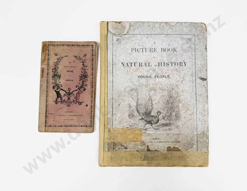 Two Victorian Volumes for Children Image 1++