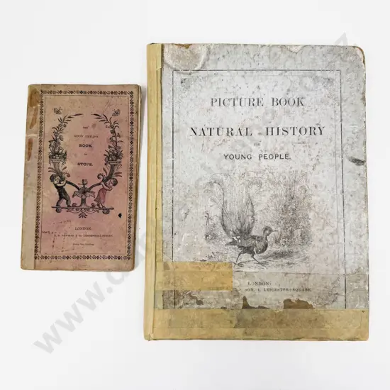 Two Victorian Volumes for Children