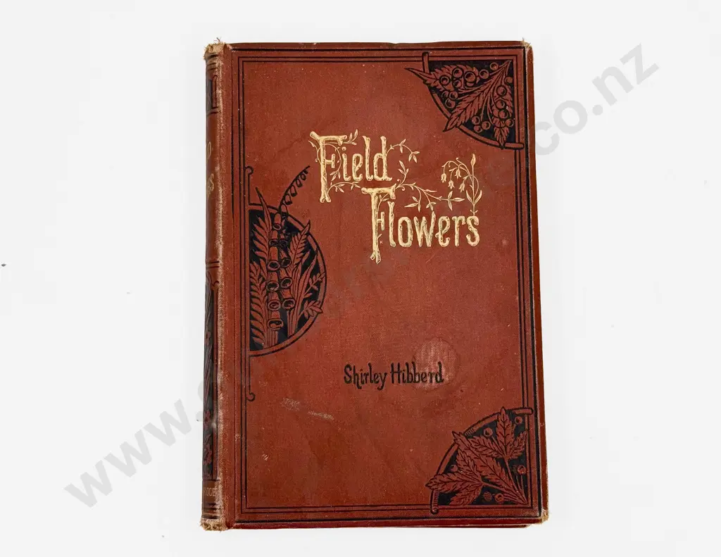 Shirley Hibberd - Field of Flowers Image 1++