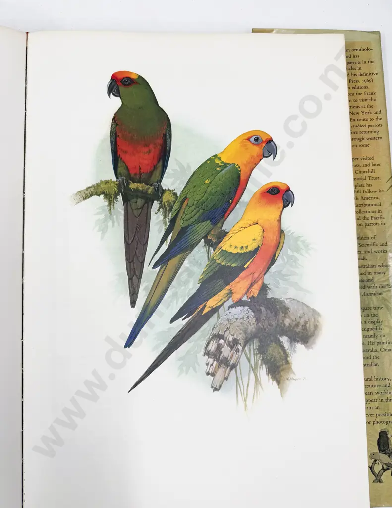 W T Cooper & J M Forshaw - Parrots of the World - First Edition Image 1++