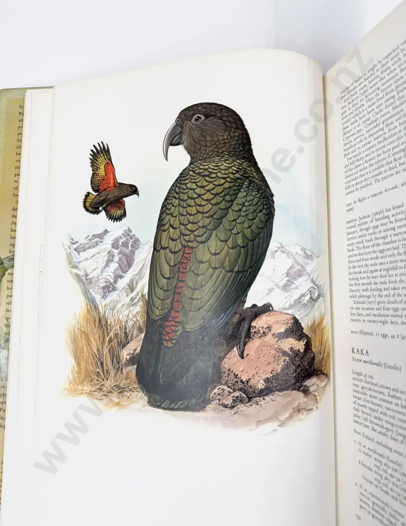 W T Cooper & J M Forshaw - Parrots of the World - First Edition Image 1++