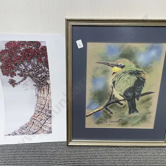 Joyce Caldwell - Bird Study - Pastel on Paper and Other