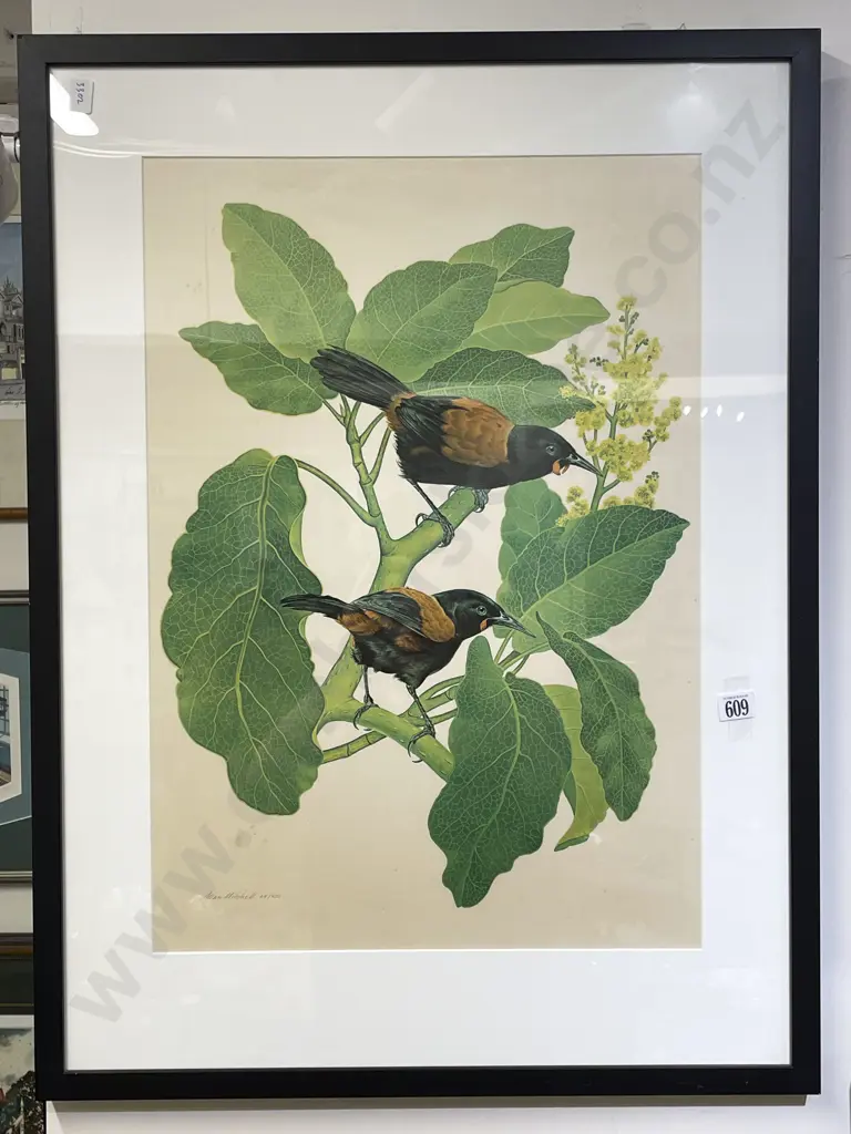 Allan Mitchell - Saddlebacks - Ltd Edition Print Image 1++