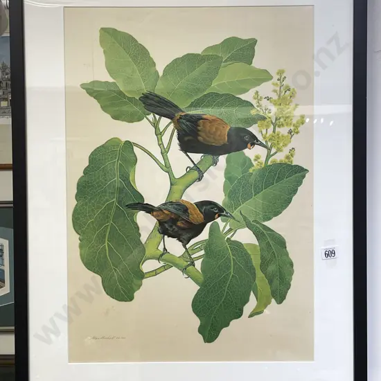 Allan Mitchell - Saddlebacks - Ltd Edition Print