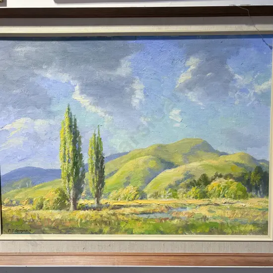 C. T. Laugesen - "Dry Summer Wairarapa" - Oil on Board