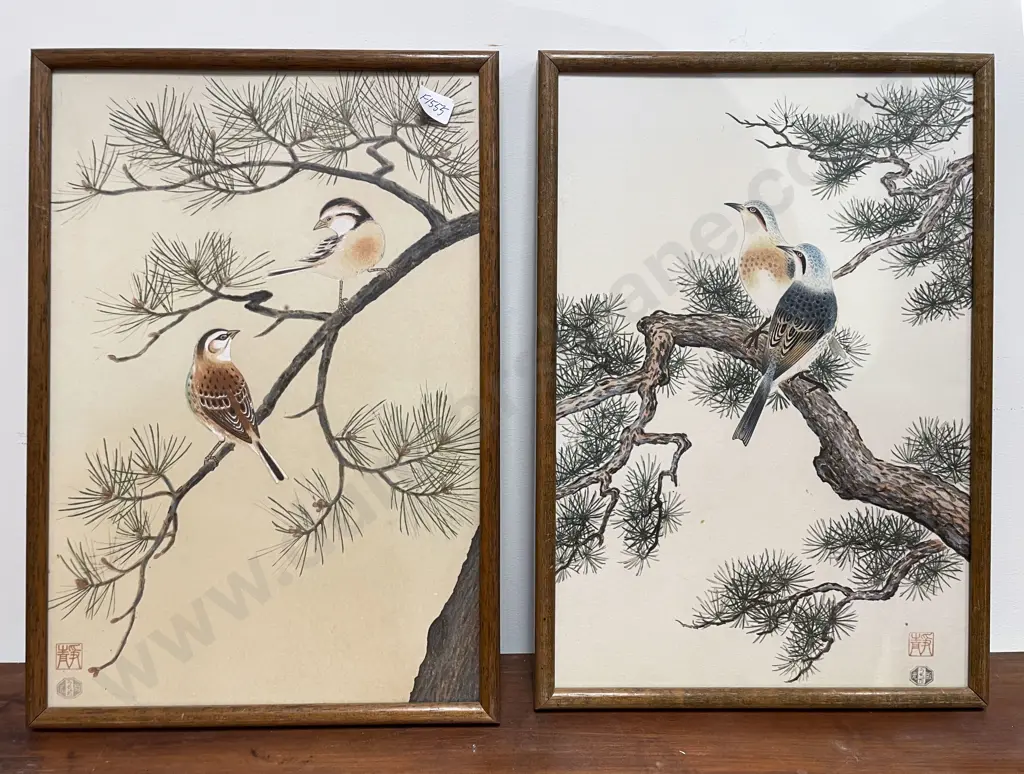 Pair of Framed Bird Studies - Watercolour Image 1++