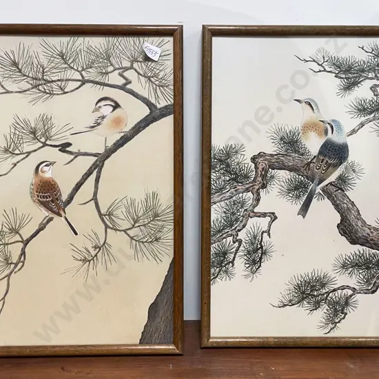 Pair of Framed Bird Studies - Watercolour
