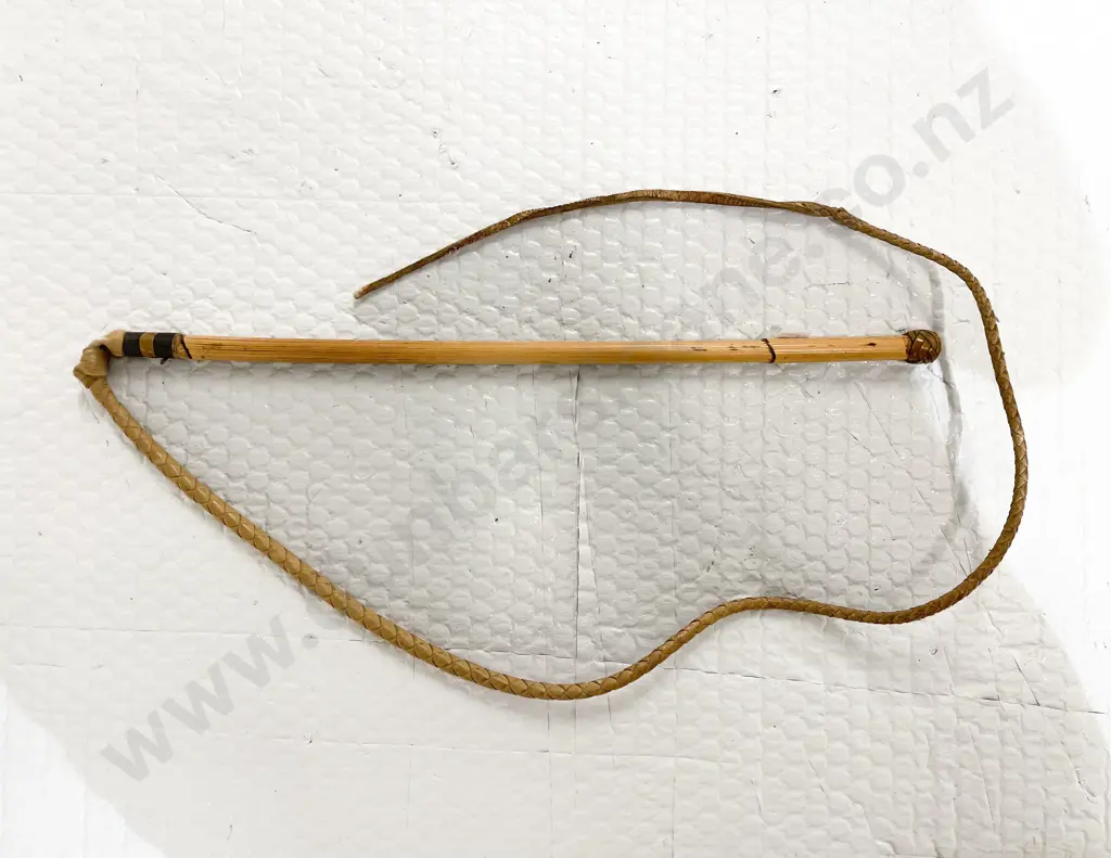 Cane Leather Whip *PHOTO CHANGE Image 1++