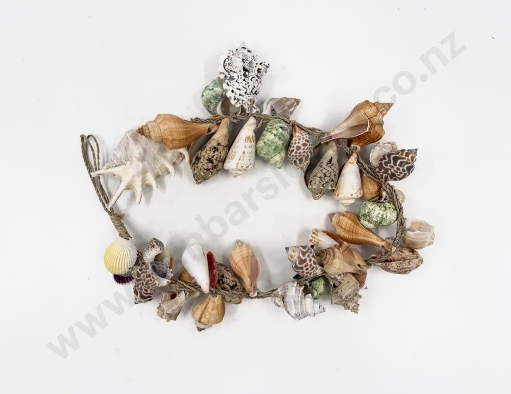 Large Shell Necklace Image 1++