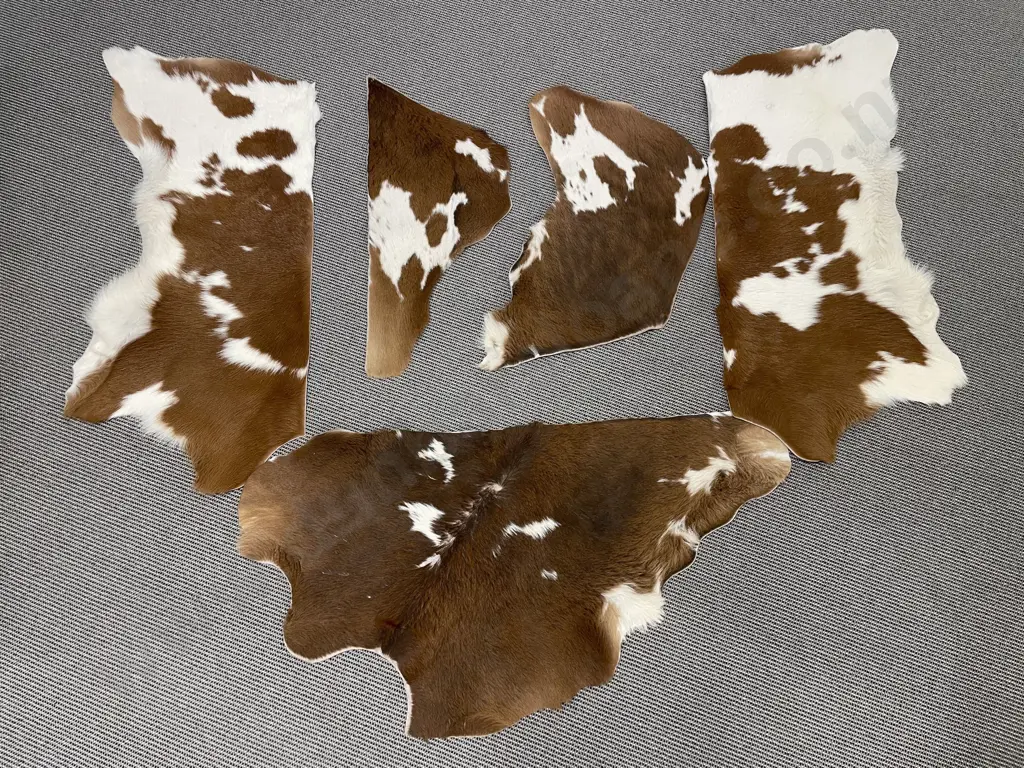 Five Cowhide Mats Image 1++