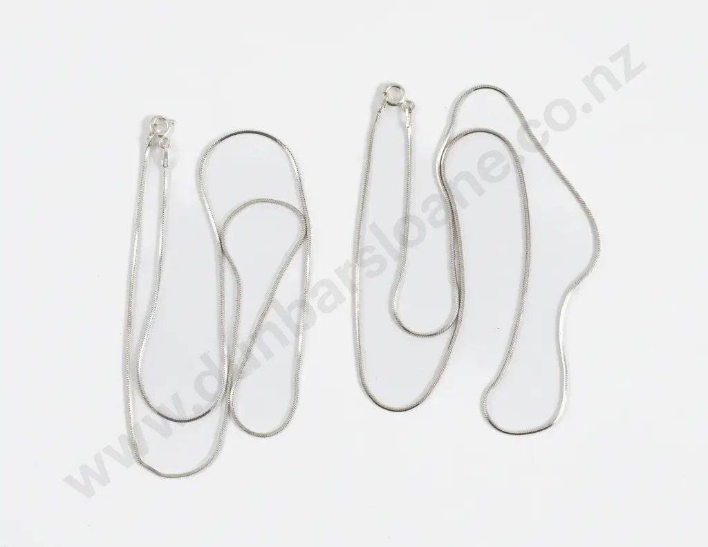 Two S/S Snake Link Neck Chains Image 1++