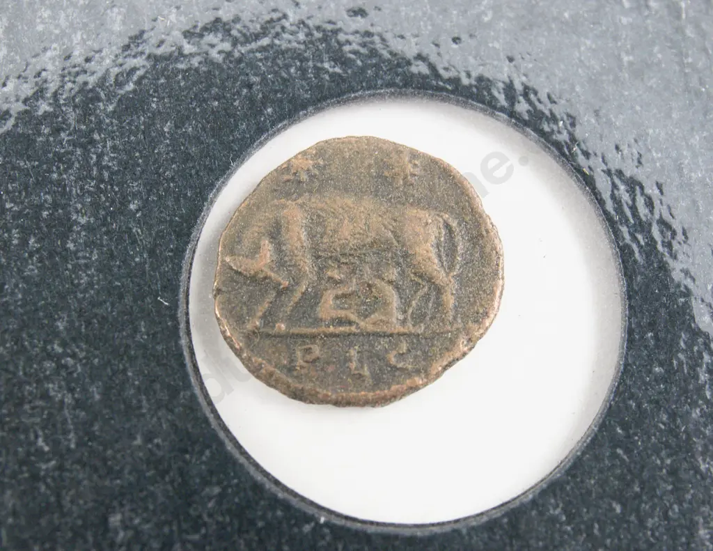Franklin Mint Roman Coin Emperor Constantine (306-337AD) Romulus and Remus Commemorative Image 1++