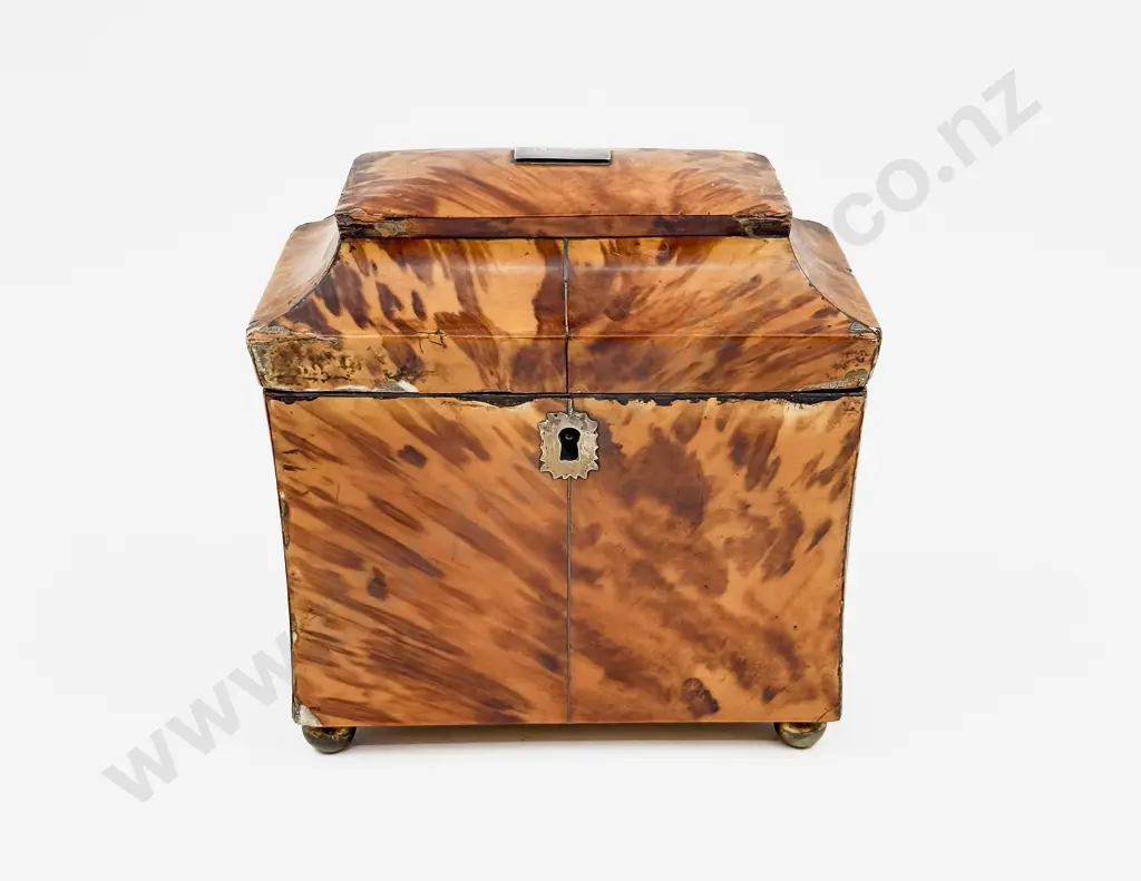 Victorian Tortoise Shell Tea Caddy Image 1++