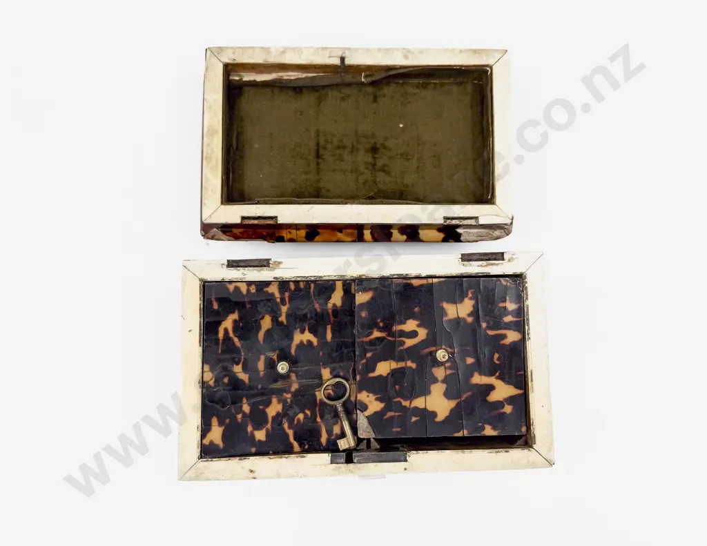 Victorian Tortoise Shell Tea Caddy Image 1++