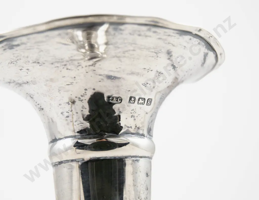 Pair Edw VII S/S Specimen Vases Image 1++