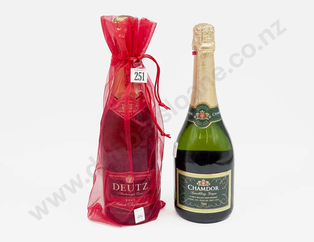 Two Bottles of Sparkling Wine Image 1++