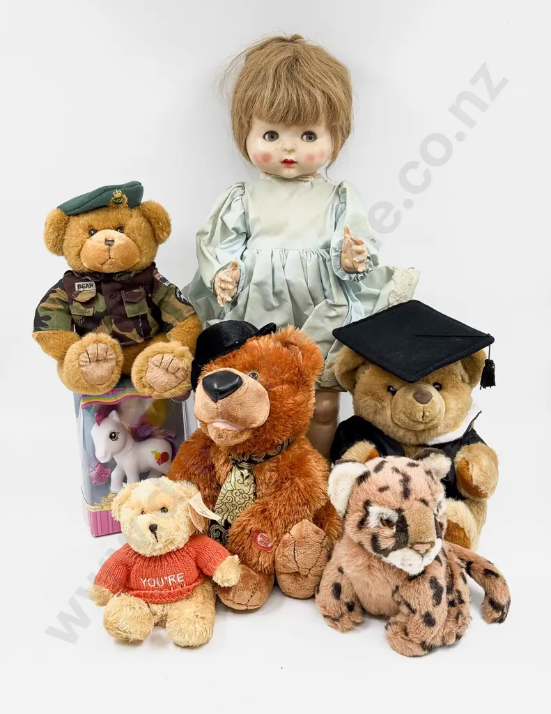 NZ Pedigree Various Teddy Bears Image 1++