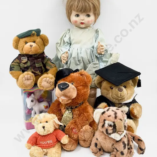 NZ Pedigree Various Teddy Bears