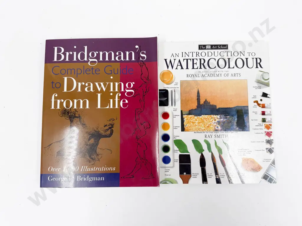 An Introduction to Water Colour and Other Art Reference Book Image 1++