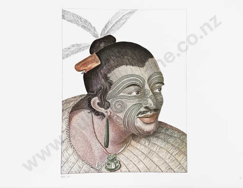 Captain Cook's Artists in The Pacific 1769 - 1779 Image 1++