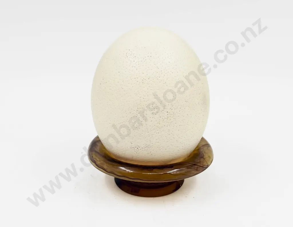 Ostrich Egg Image 1++