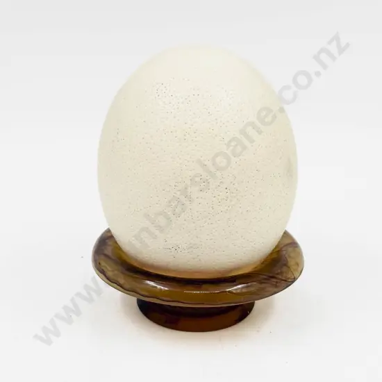 Ostrich Egg