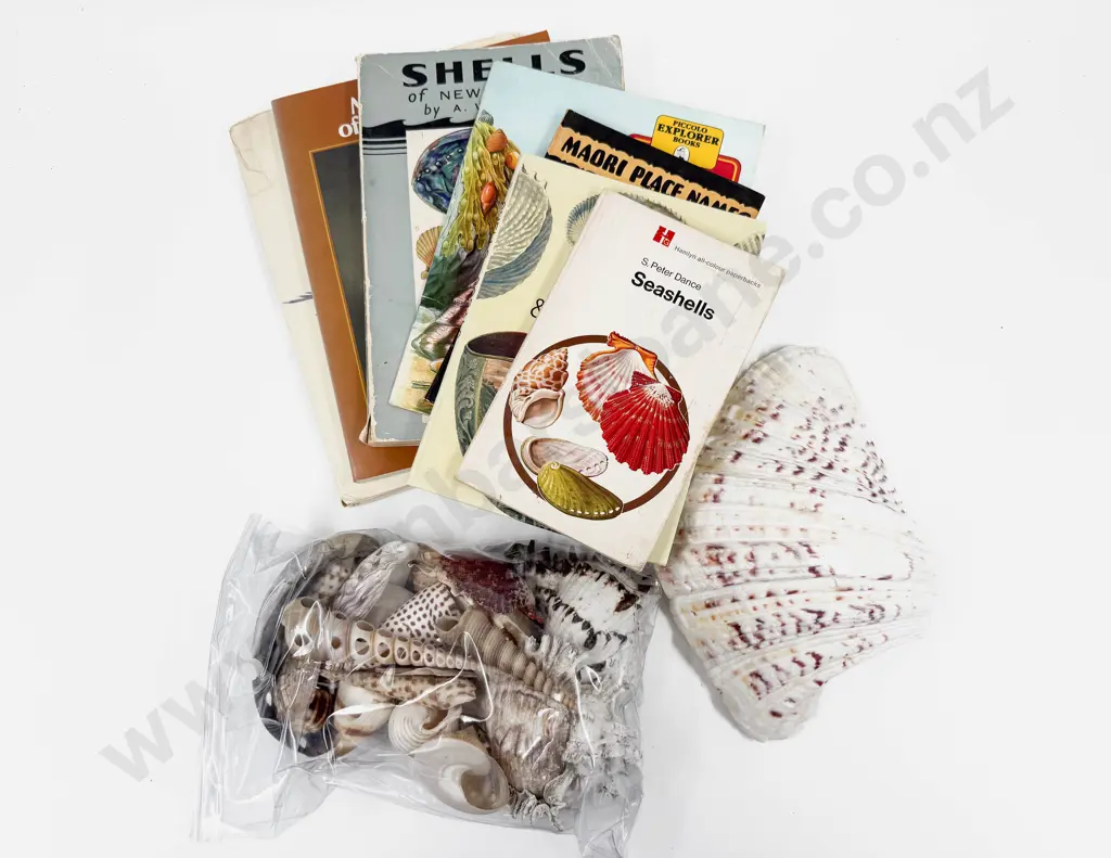 Qty of Assorted Shells and Shell Reference Books Image 1++