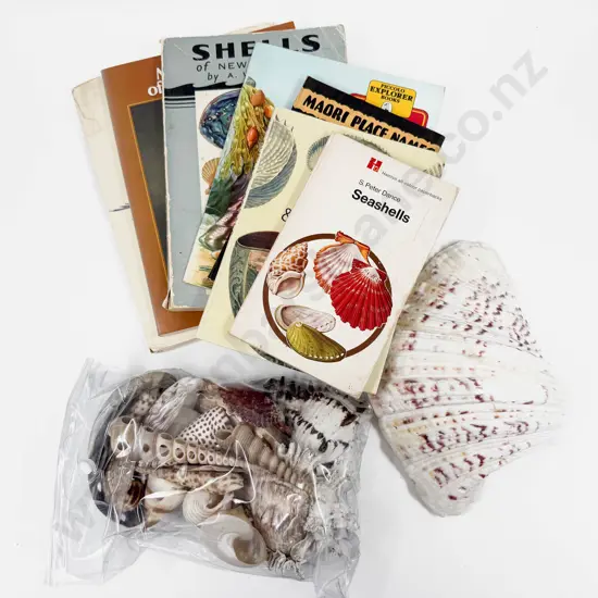 Qty of Assorted Shells and Shell Reference Books
