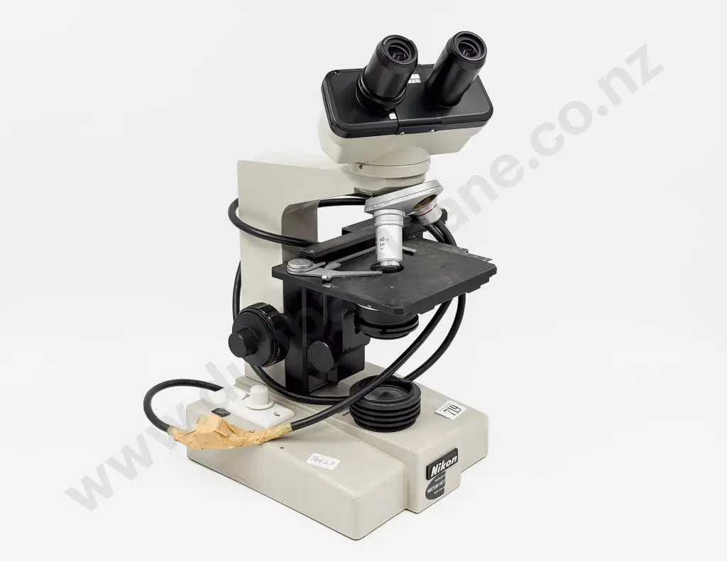 Nikon Microscope Image 1++