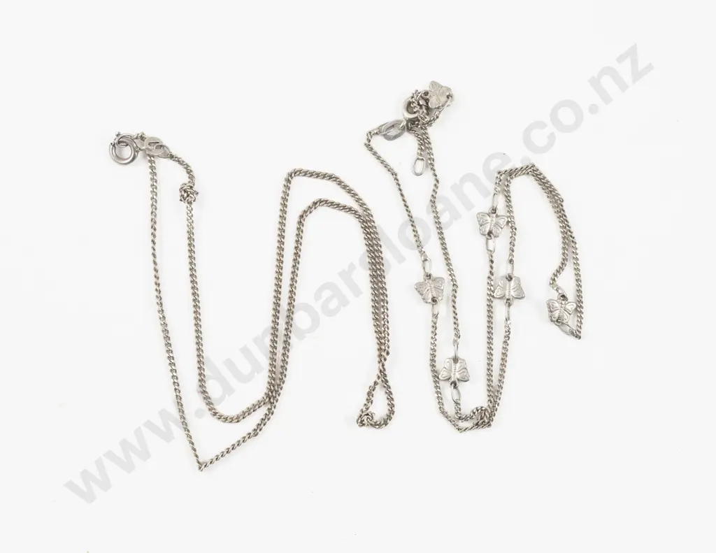 Two S/S Neck Chains Image 1++