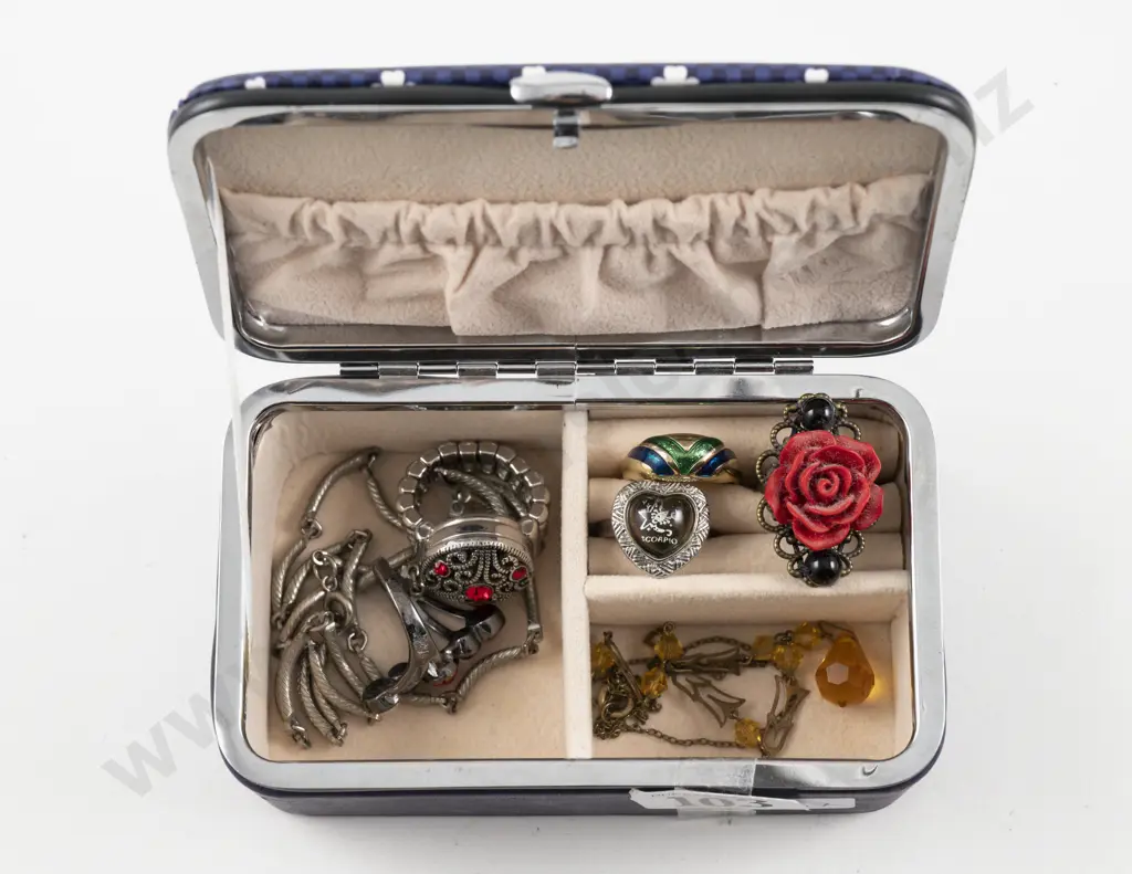Collection of Assorted Costume Jewellery with Jewellery Travel Organiser Image 1++