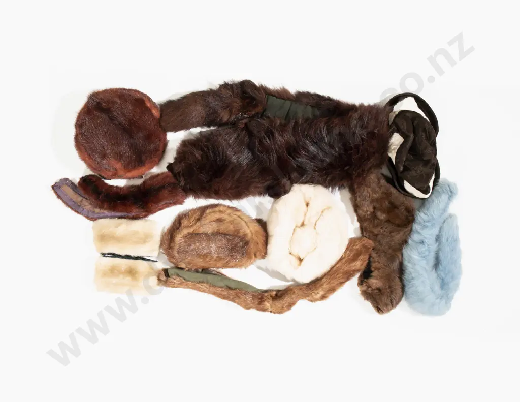 Fur Fox Shawl with Quantity of Collars and Hats Image 1++