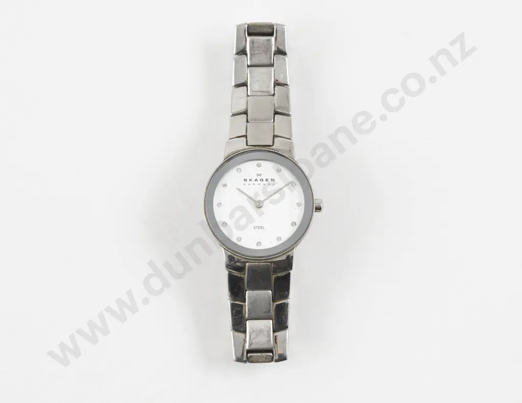 Skagen Stainless Steel Ladies Wrist Watch Image 1++