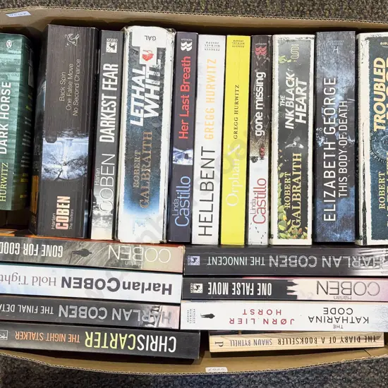 Box of Assorted Modern Paperbacks