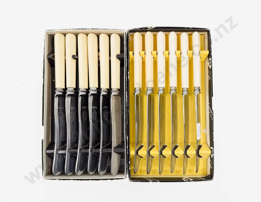 Two Boxed Bone Handled Knife Sets Image 1++