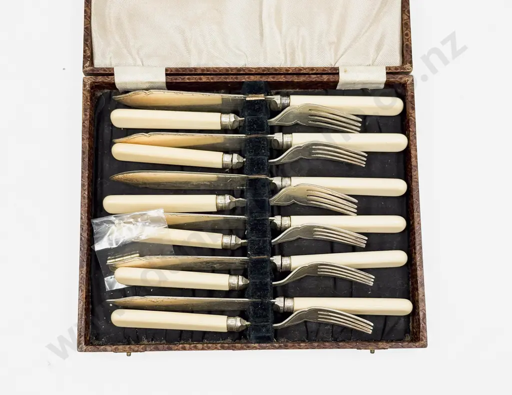 Cased Bone Handled Fish Fork & Knife Set Image 1++