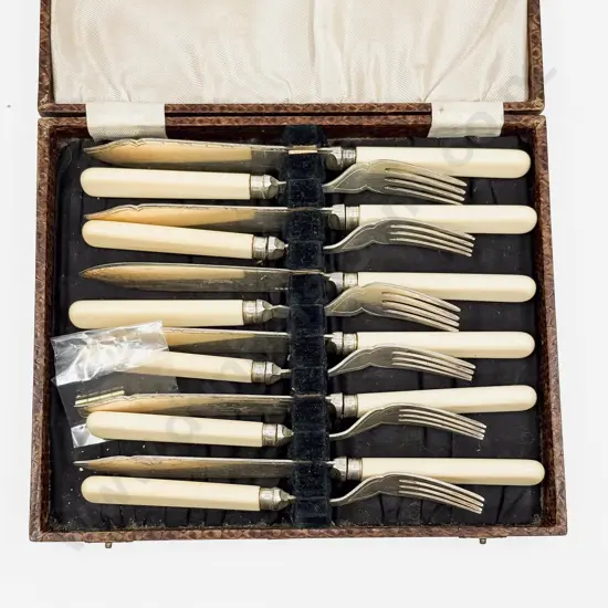 Cased Bone Handled Fish Fork & Knife Set